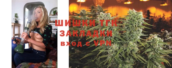амф Кукмор