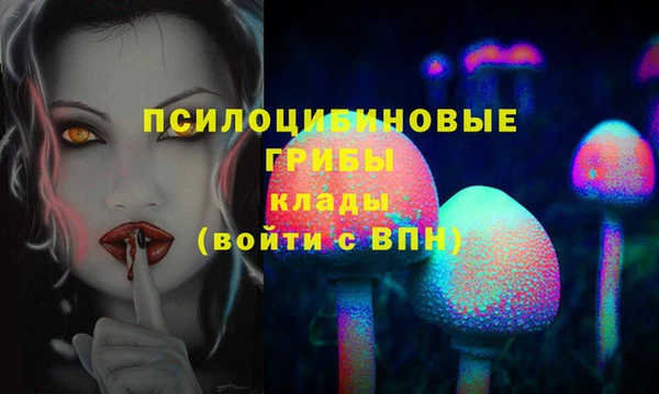 хмурый Куйбышев
