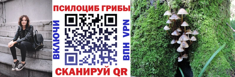 Галлюциногенные грибы Psilocybine cubensis  Купить  Приволжск 