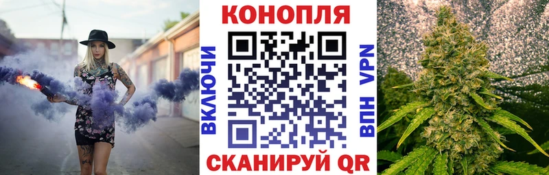 Каннабис план  Купить  Приволжск 